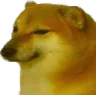 cheems