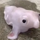 him