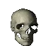 Skull_Spin
