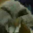 xddidi