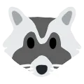 raccoon
