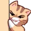 884707837853450251