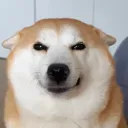 emoji_24