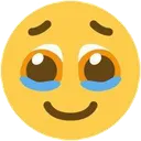 HoldingBackTears