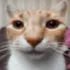 catstare