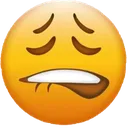 emoji_22