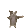 dd_meme_happycat