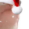 _wChristmasCatJAM