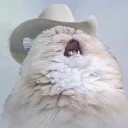 WesternCatScream