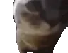 chipichipichapachapadubidubidaba chipichipichapachapadubidubidaba