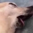 ded