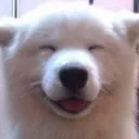 yippee