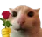catrose
