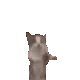 catjump