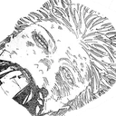 lose