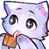 Cat_Wonder