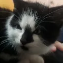 JerichoAngry