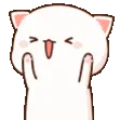 Cat_Yay