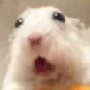 Shock