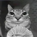 motiondetected