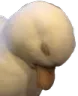 itsover itsover