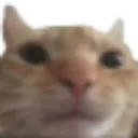 bruh