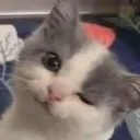 wink