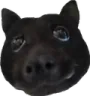 bata