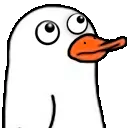 zduck0