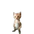 neeshStand
