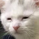 awakebutatwhatcost