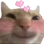 blushingcat3 Discord Emoji