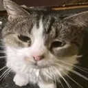 sad