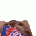chipcat