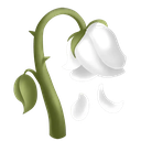 whiteflower Discord emoji