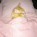 sleepyduck Discord emoji