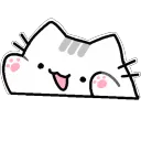 cattap