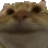 catyes