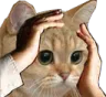 ohno