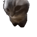 chipichapa
