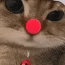 rar