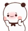 Ama_bearblush