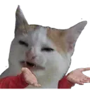 catWat Discord Emoji