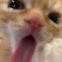 lickylick lickylick