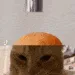 catbrain