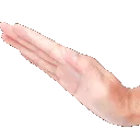 pat
