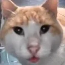 huh