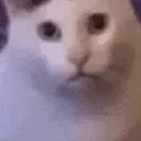 HUH