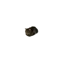 nanobob nanobob