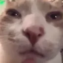 guh